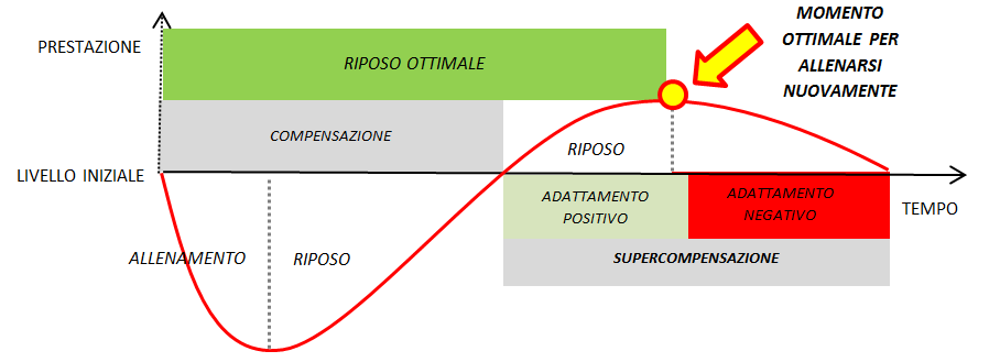 allenamento-recupero-adattamento