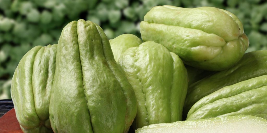 chayote-fenoli