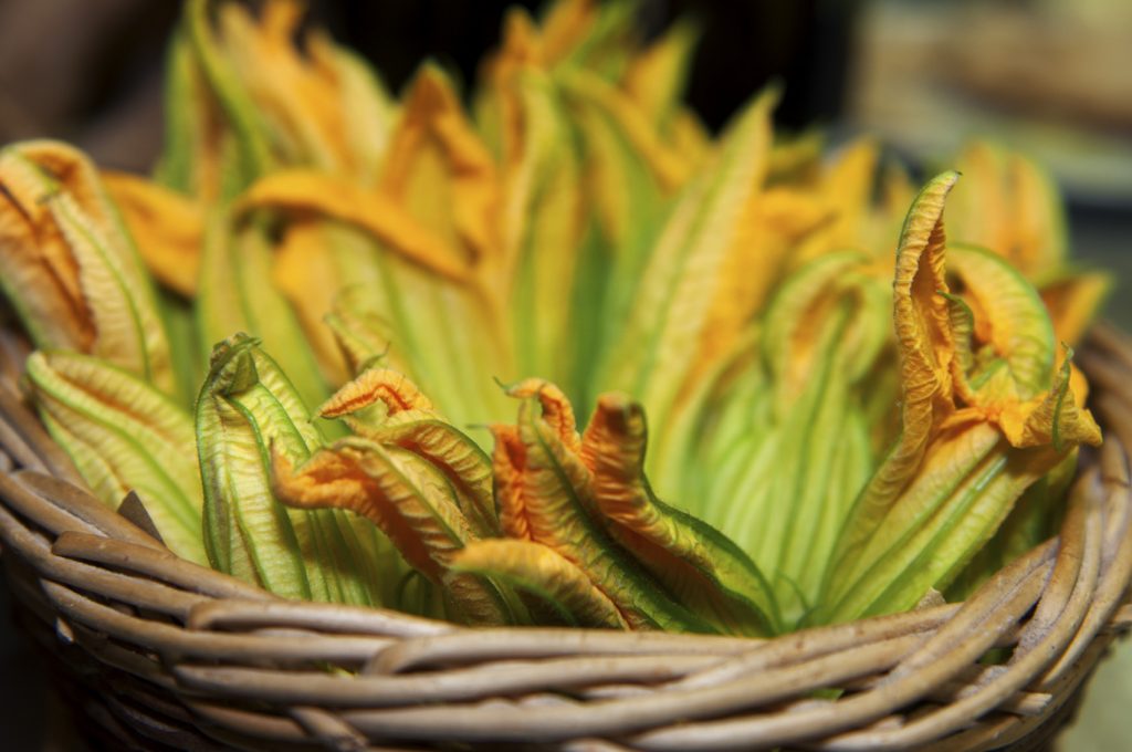 fiori-di-zucca-ricetta