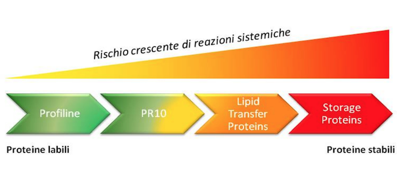 proteine-allergie