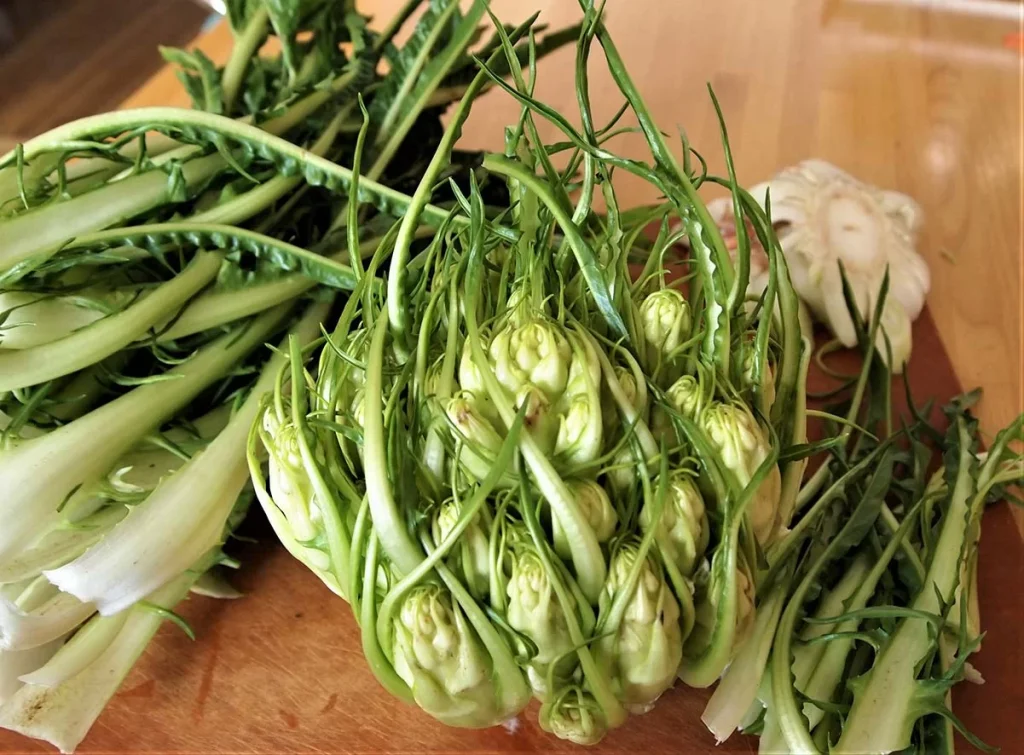 puntarelle-benefici-salute