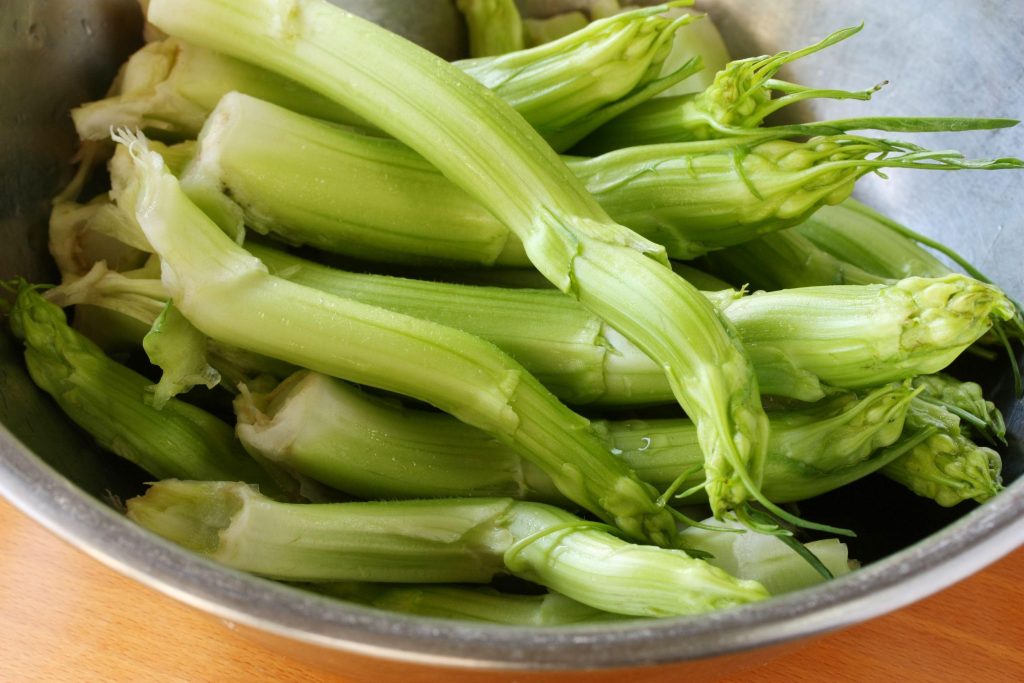 puntarelle-digestione