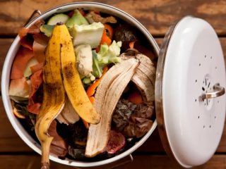 FoodWaste