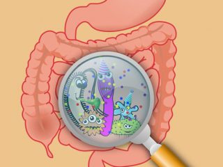MICROBIOTA-INTESTINALE