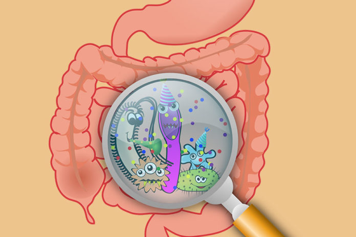 MICROBIOTA-INTESTINALE