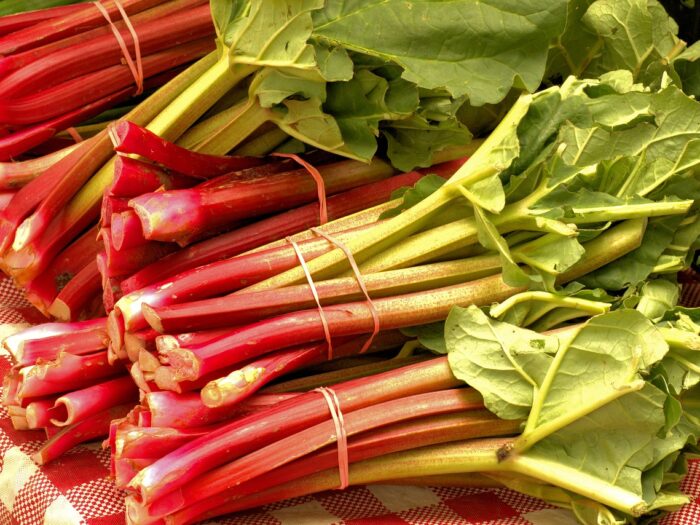 Rabarbaro-proprietà-valori-nutrizionali-benefici