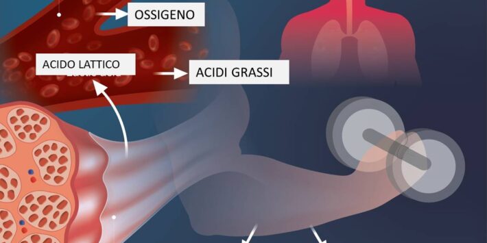 acido-lattico-come-si-forma