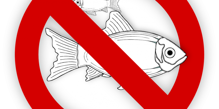 allergia-pesce-cibum