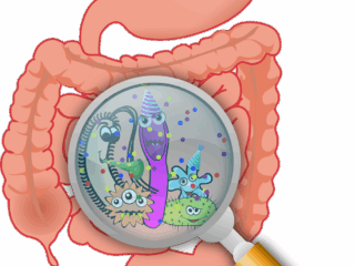 anatomy-160524_1280
