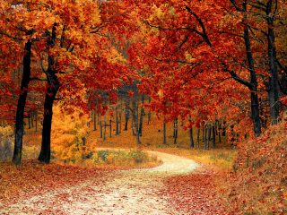 autunno-dieta