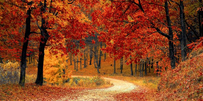 autunno-dieta