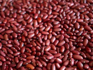 beans-9656334_1280