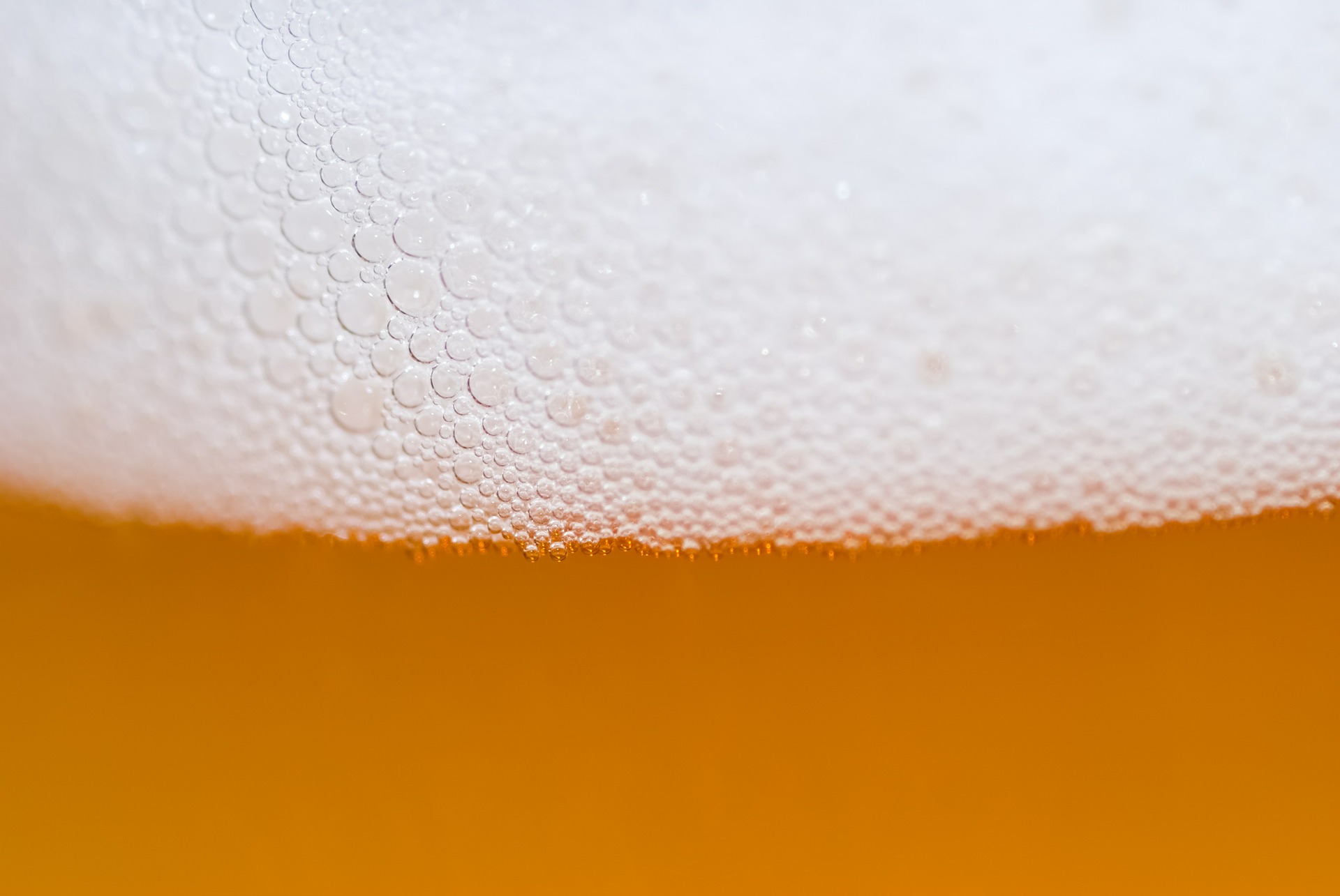 Birra Buona E Ricca Di Nutrienti Cibum