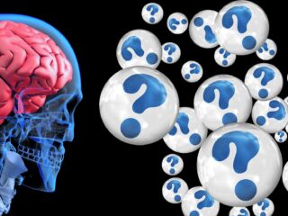 brain-2546101_1280