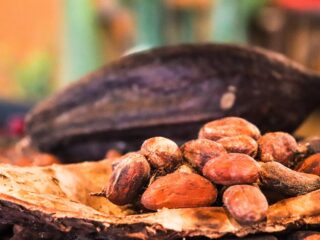 cacao-3995995_1280