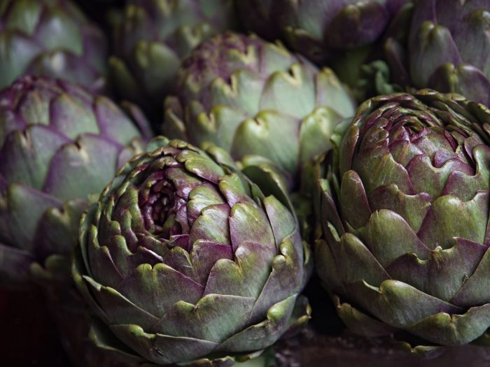 carciofi-cibum