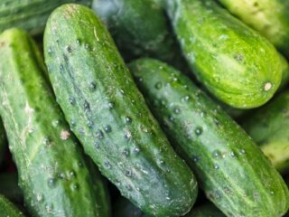 cetriolo_