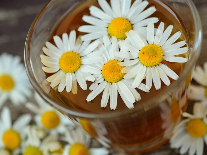 chamomile-829220_1280