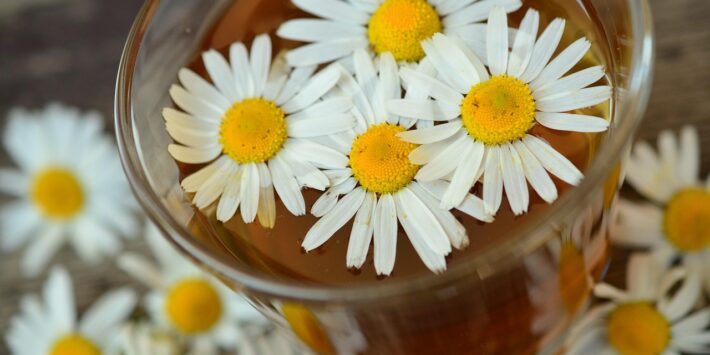 chamomile-829220_1280
