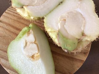 chayote-erbe-aromatiche