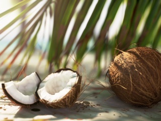 cocco_benefici