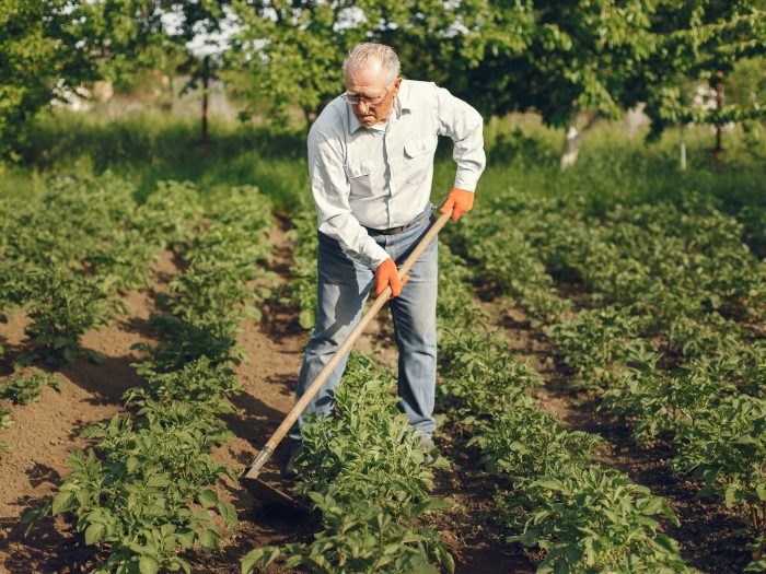 dieta-mediterranea-cucina-povera