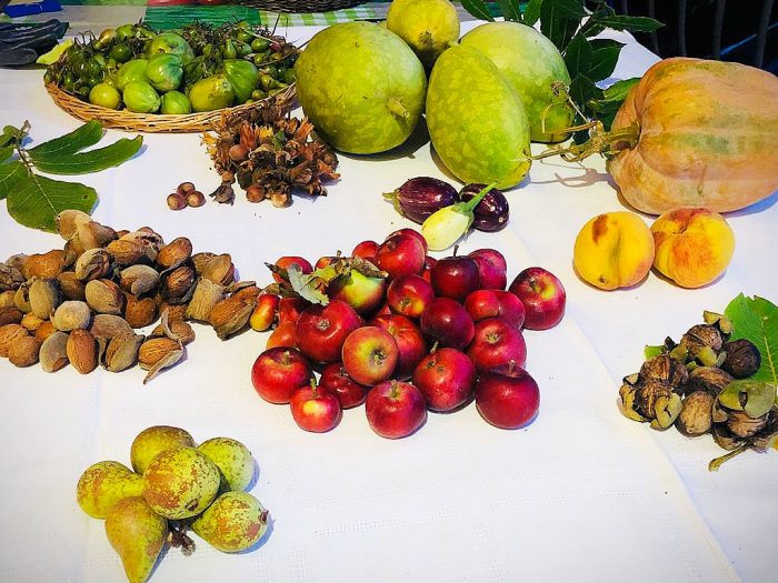 dieta-mediterranea-giornata-mondiale-alimentazione