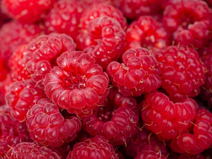 dieta_invecchiamento