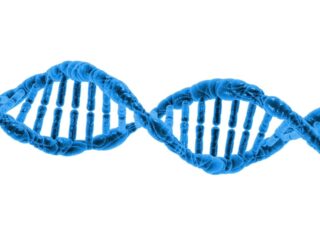 dna-163710_1280