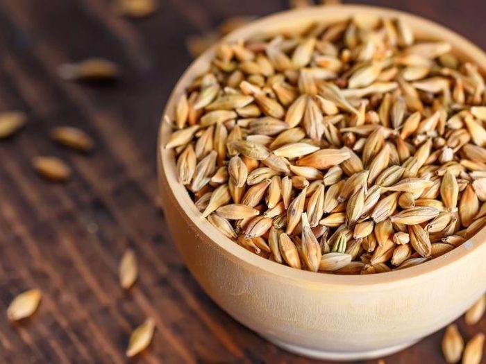 farro-fibre-cibum