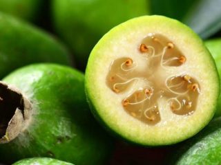 feijoa-benefici