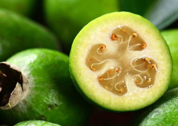 feijoa-benefici