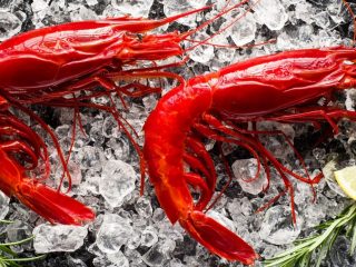 gambero-rosso-cibum-1