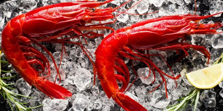gambero-rosso-cibum-1