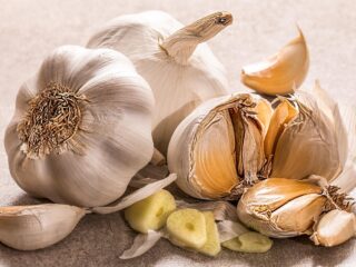 garlic-3419544_1280