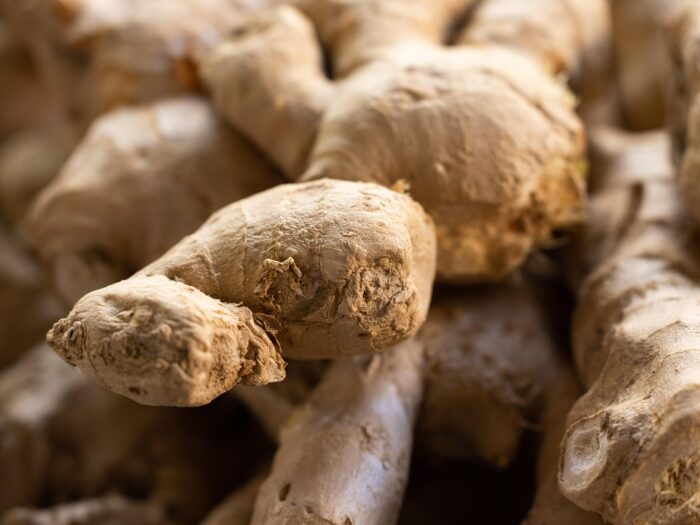 ginger-6757584_1280