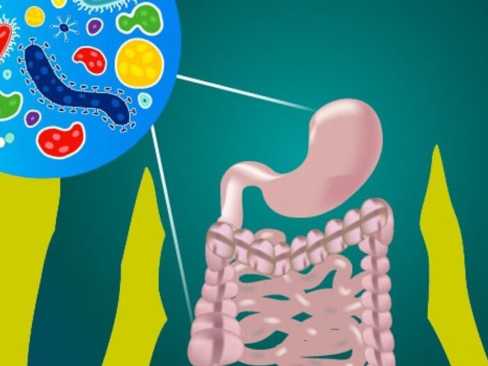 gut-microbiome-550x700-2