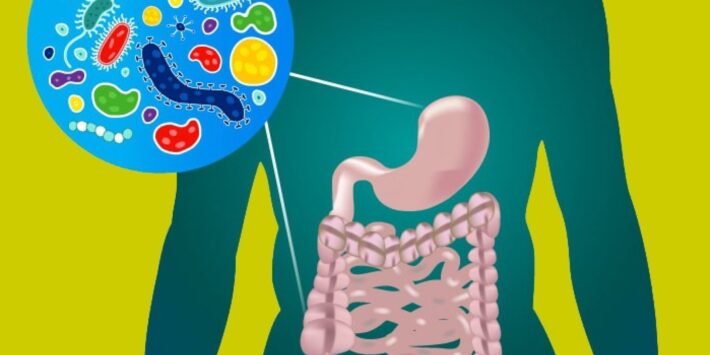 gut-microbiome-550x700-2