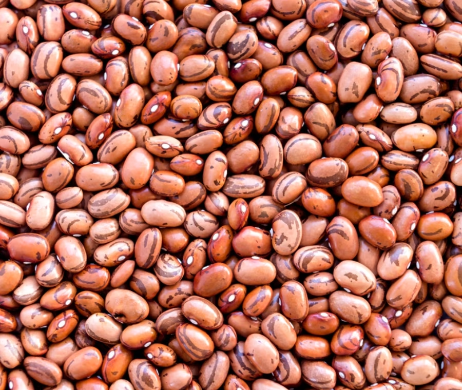 magnesio-spinaci magnesio-fagioli