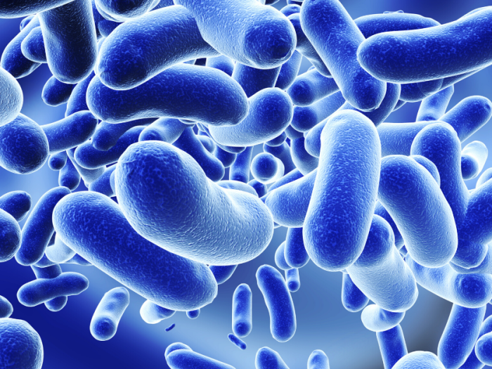 microbiota-disfunzione