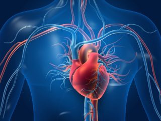 malattie-cardiovascolari-dieta
