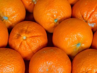 mandarino-vitamina-C