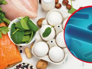 microbiota-dieta