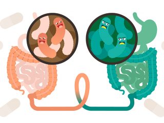microbiota-e-disturbi-alimentari-foto