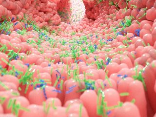 microbiota-intestinale-salute