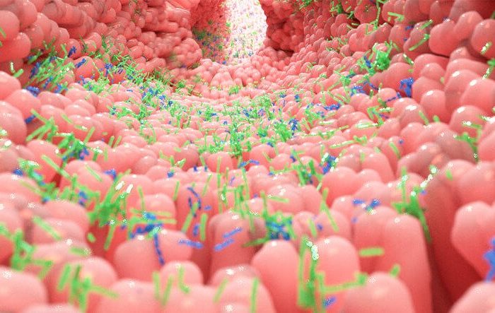 microbiota-intestinale-salute
