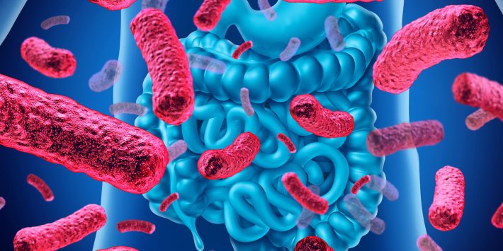 microbiota-intestino
