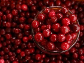 mirtillo-rosso-cibum