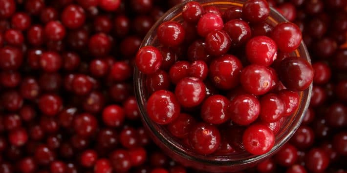 mirtillo-rosso-cibum