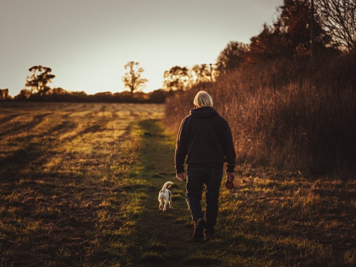 natale-attività-forma